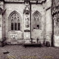 Dom und Severikirche