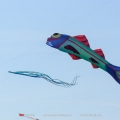 Drachen,kites