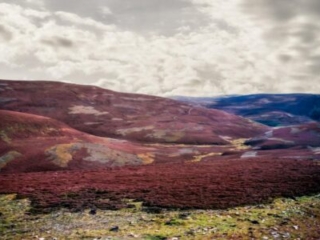 37