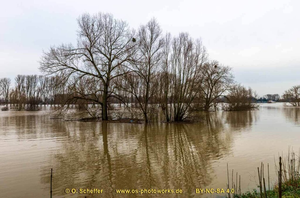 Hochwasser-08