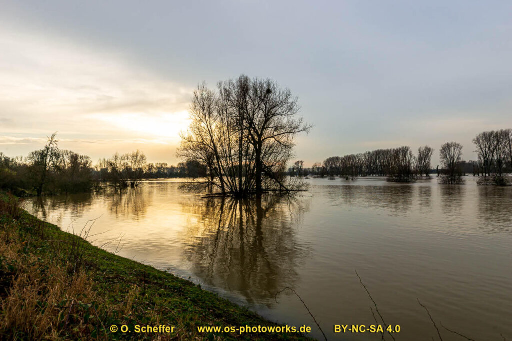 Hochwasser-09