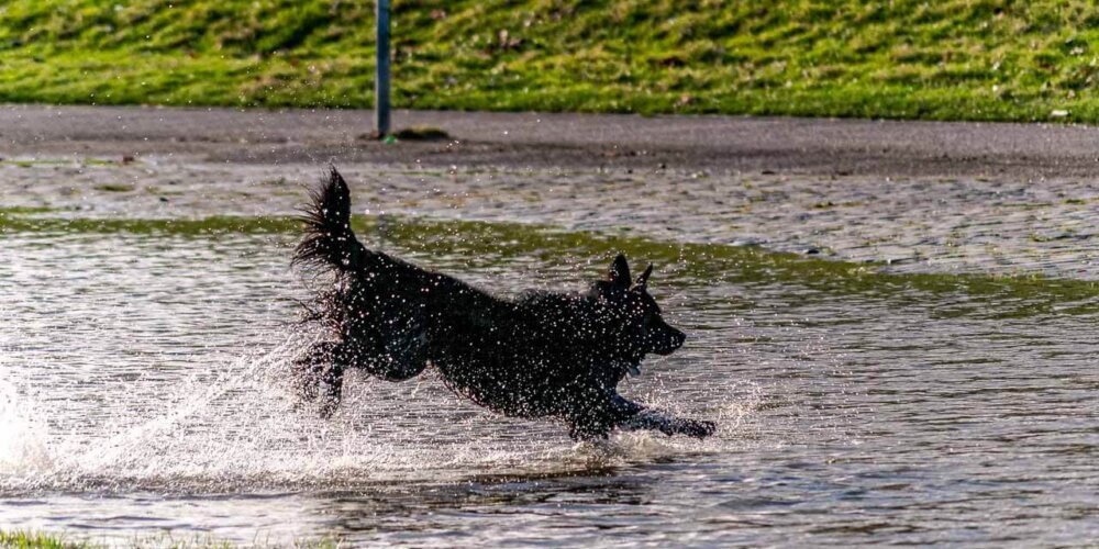 Hochwasser-29