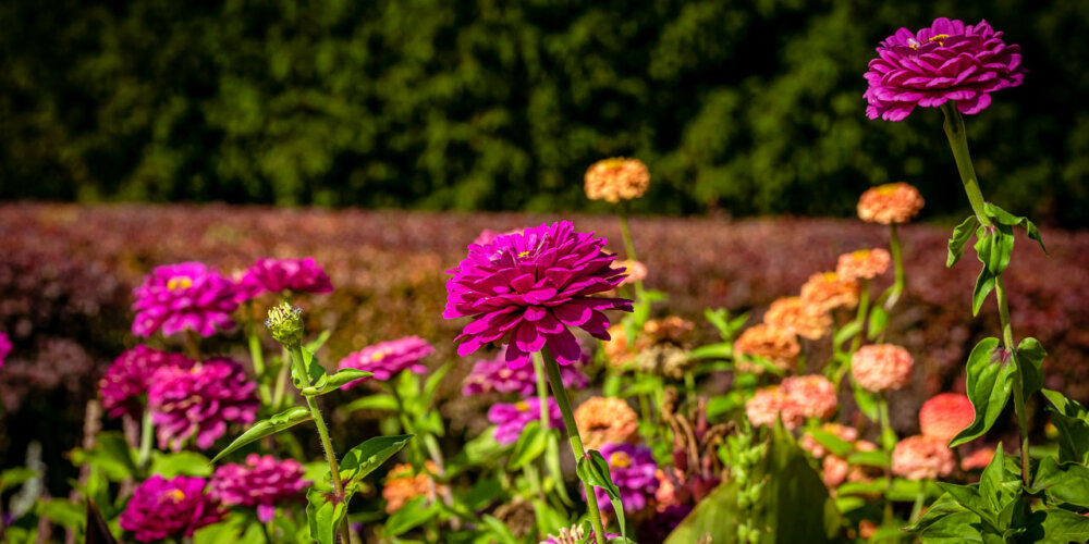 Nordpark-08