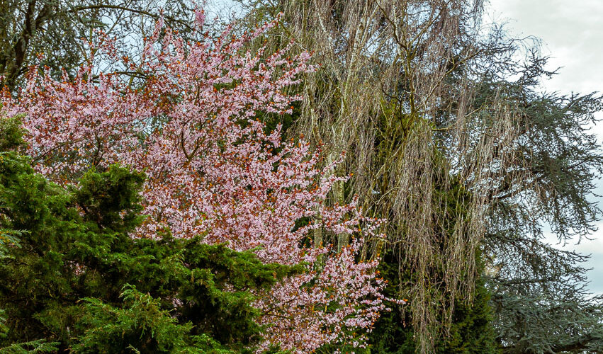 Nordpark-12