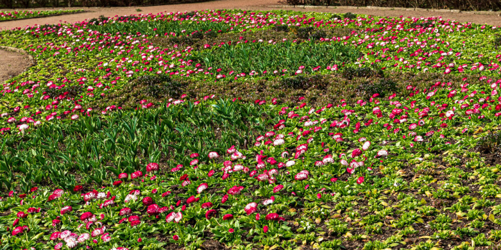 Nordpark-14