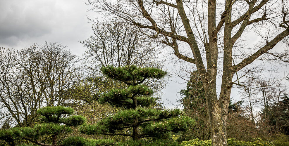 Nordpark-24
