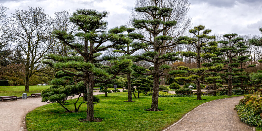 Nordpark-27