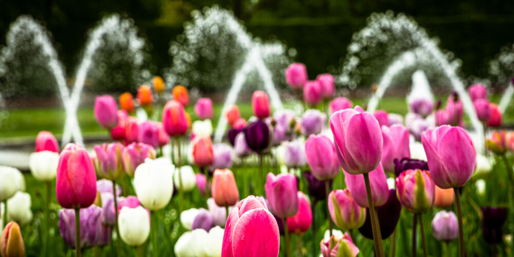 Nordpark-33