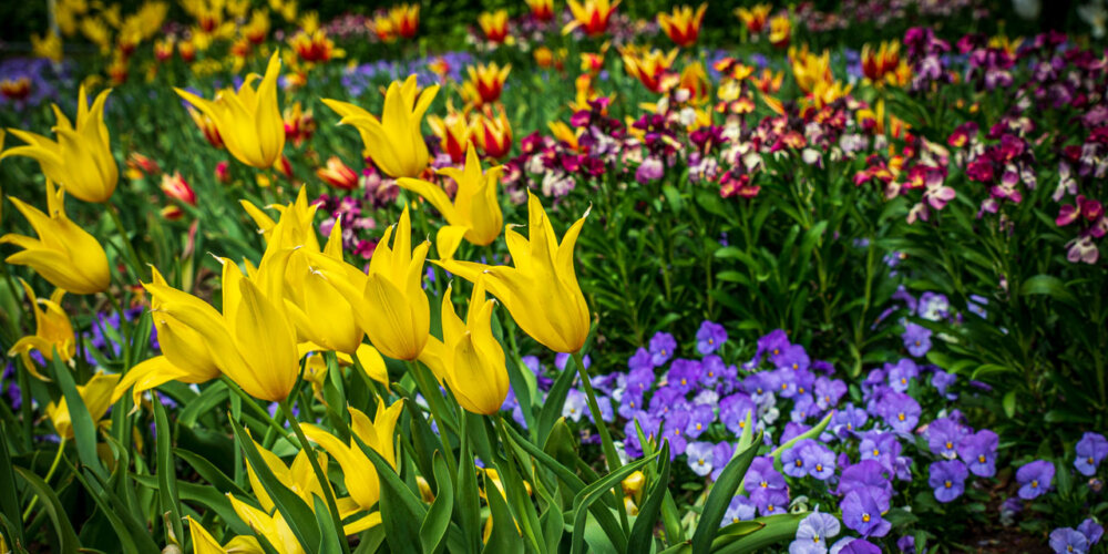 Nordpark-43