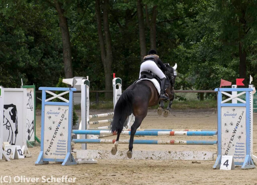 Reitertage Uhlenhof