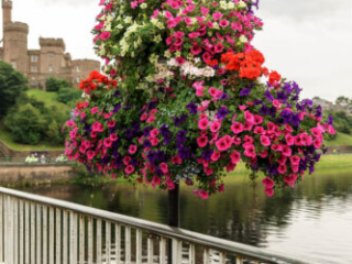 Scotland_tour_2015-271