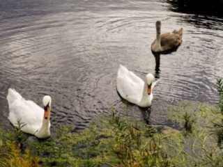 Scotland_tour_2015-430