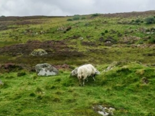 Scotland_tour_2015-65