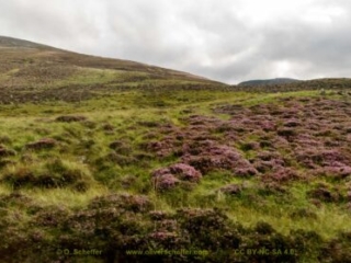 Scotland_tour_2015-69