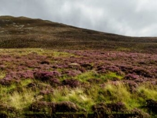 Scotland_tour_2015-70