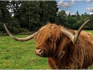 Scotland_tour_2015-92