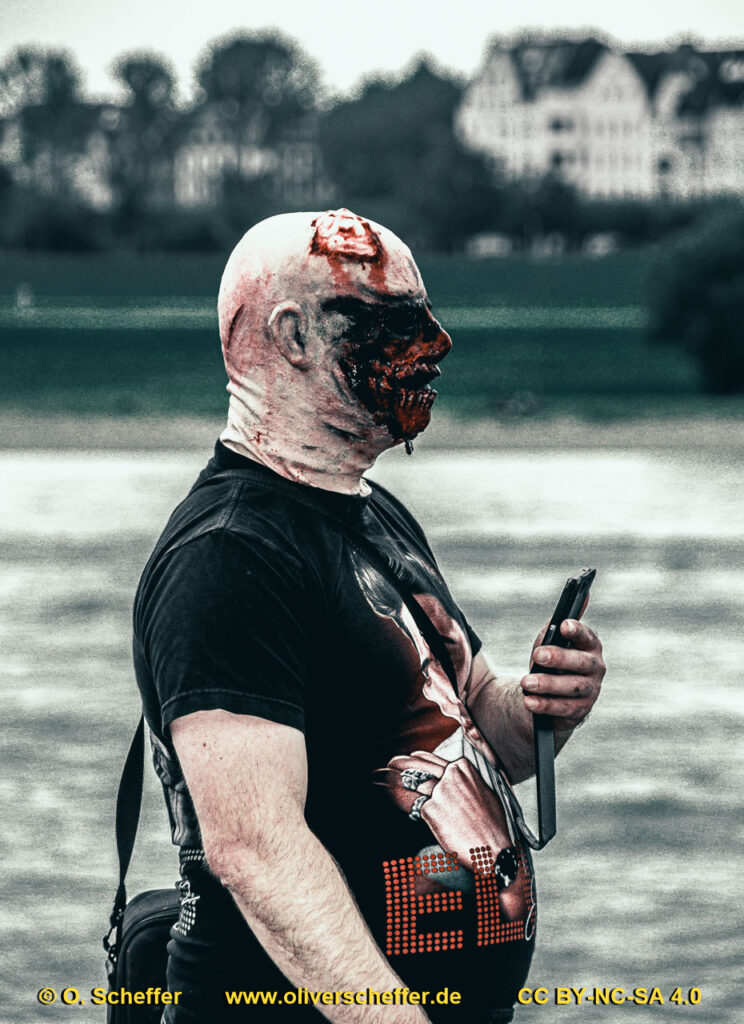 D&uuml;ss-Hell-Dorf_2014