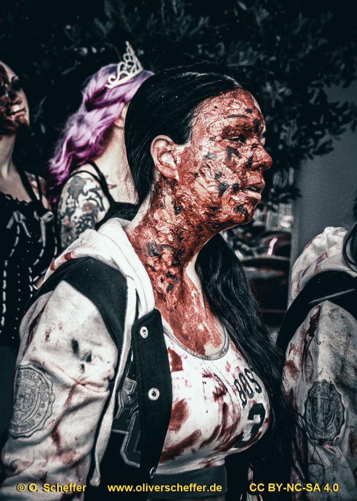 D&uuml;ss-Hell-Dorf_2014