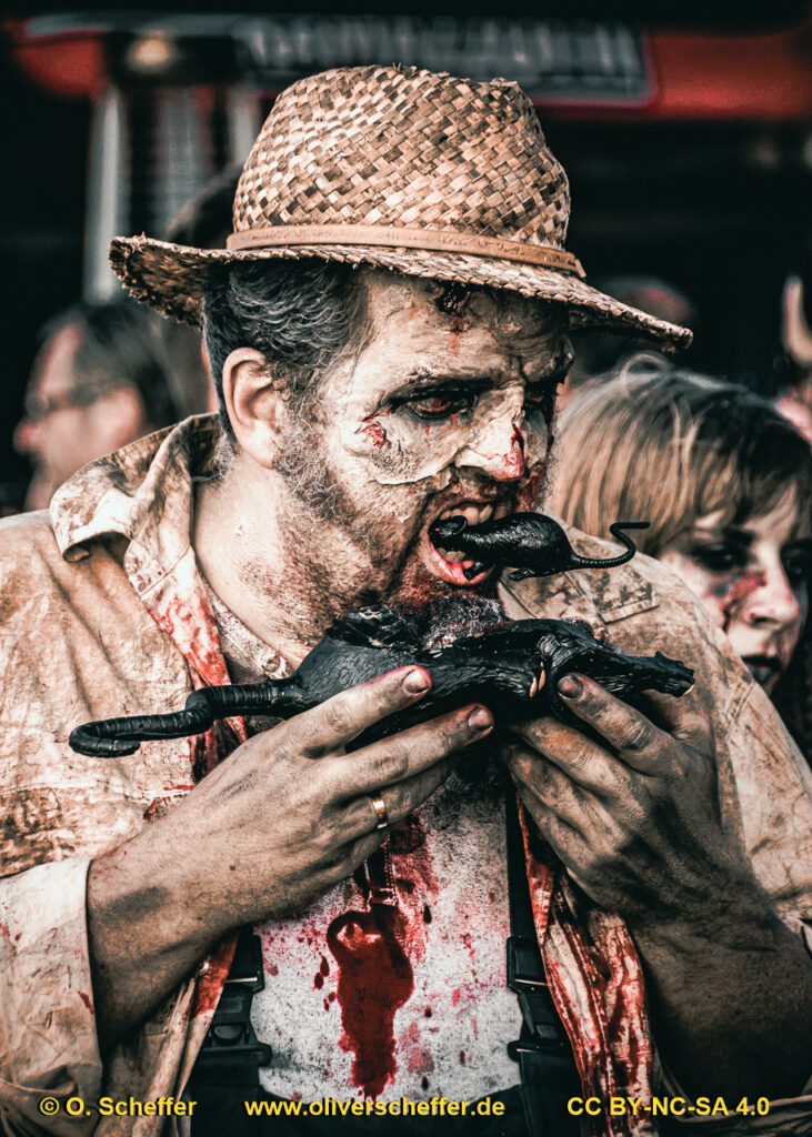 D&uuml;ss-Hell-Dorf_2014