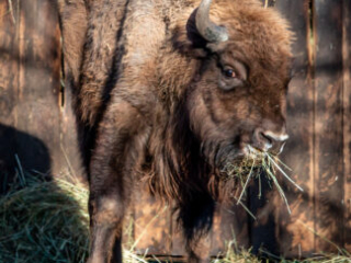 Zoo_Duisburg-013