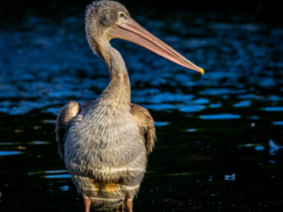 Zoo_Duisburg-023