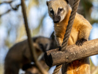 Zoo_Duisburg-027