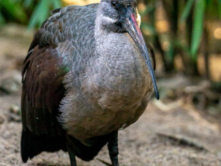 Zoo_Duisburg-035