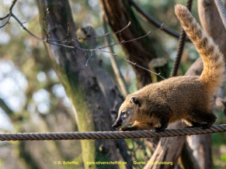 Zoo_Duisburg-038