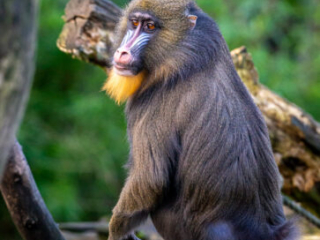 Zoo_Duisburg-049