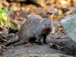 Zoo_Duisburg-050