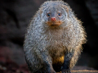 Zoo_Duisburg-051