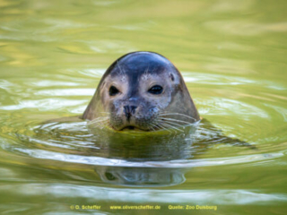 Zoo_Duisburg-057