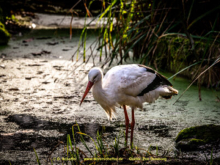 Zoo_Duisburg-066