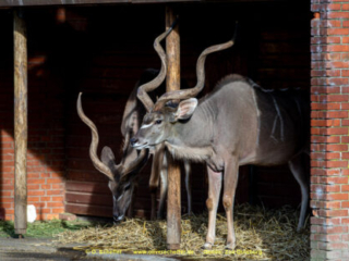Zoo_Duisburg-070