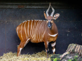 Zoo_Duisburg-073