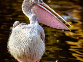 Zoo_Duisburg-078