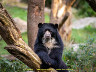 Zoo_Duisburg-084