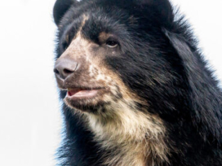 Zoo_Duisburg-089