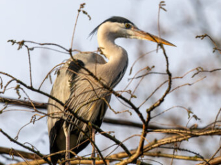 Zoo_Duisburg-092