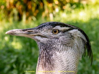 Zoo_Duisburg-093