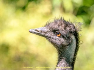 Zoo_Duisburg-102