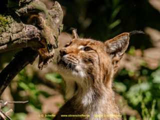 Zoo_Duisburg-104