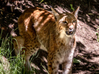 Zoo_Duisburg-105