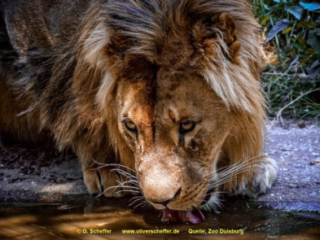 Zoo_Duisburg-109