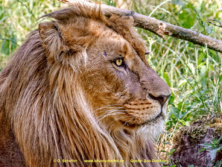 Zoo_Duisburg-115