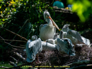 Zoo_Duisburg-116