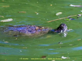 Zoo_Duisburg-120