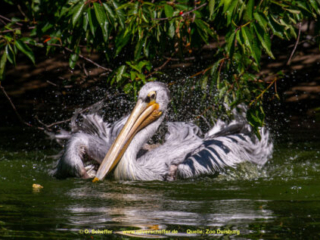 Zoo_Duisburg-121