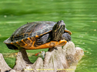 Zoo_Duisburg-122