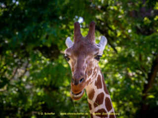 Zoo_Duisburg-123